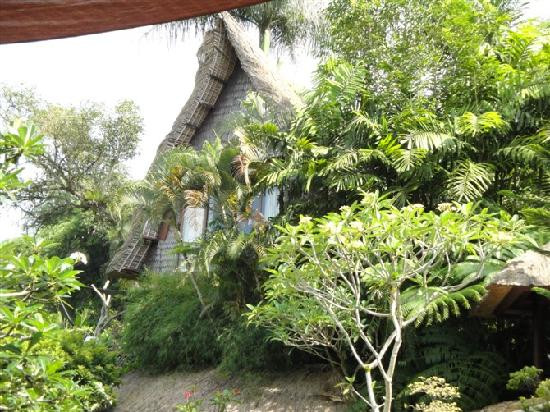 巴龙蝴蝶度假村主图