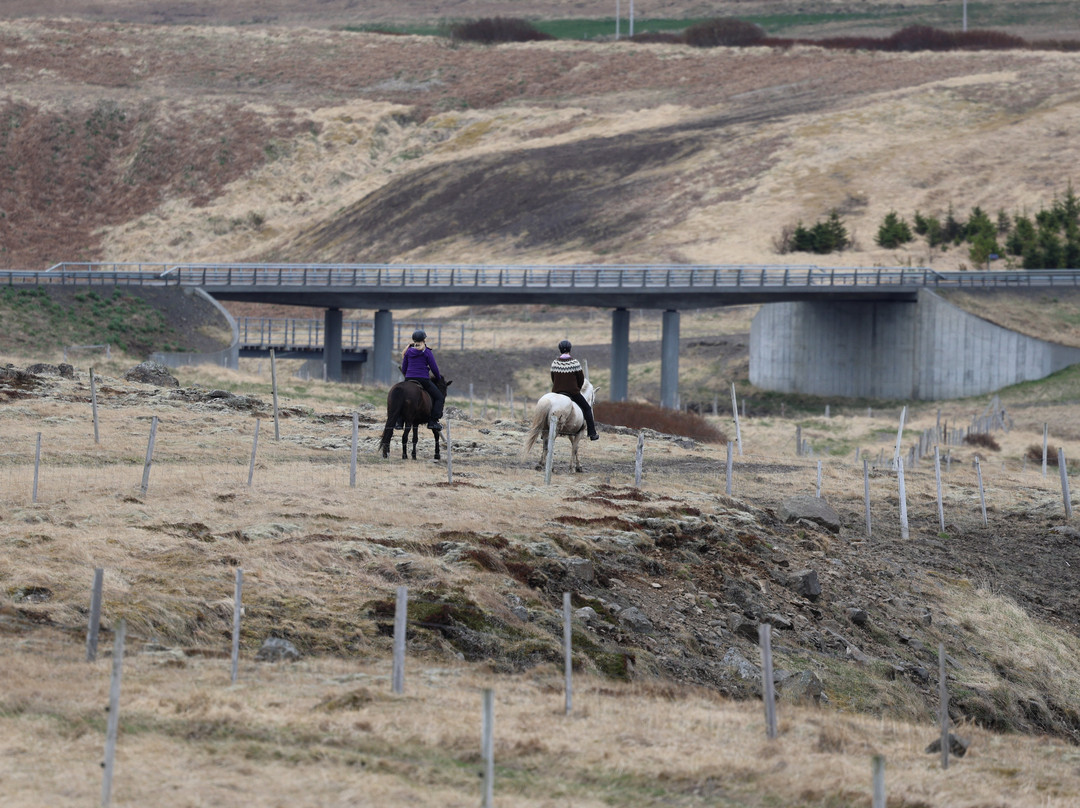 Dalahestar-布扎达吕尔必去景点