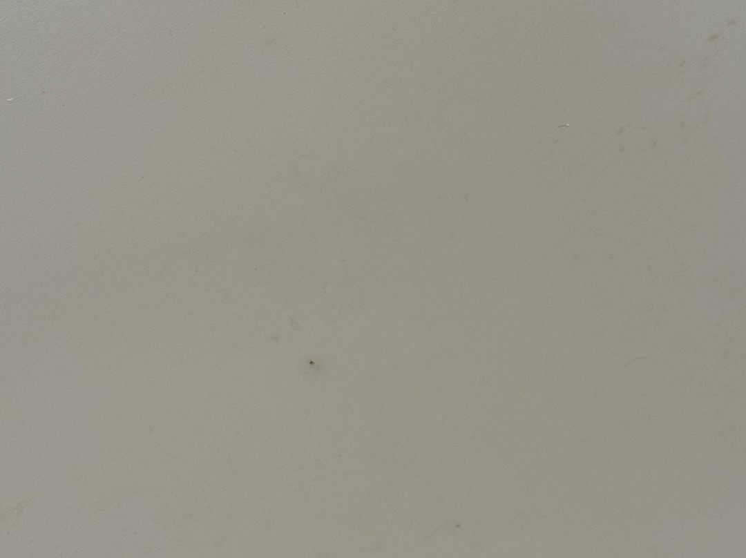 La Quinta Inn & Suites by Wyndham Cincinnati Sharonville主图