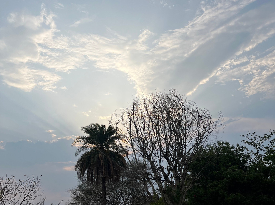 The Fern Bambora Fort, Bambora–Udaipur主图