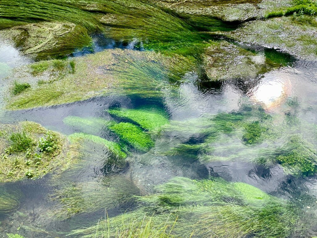 Te Waihou Walkway-普塔鲁鲁必去景点