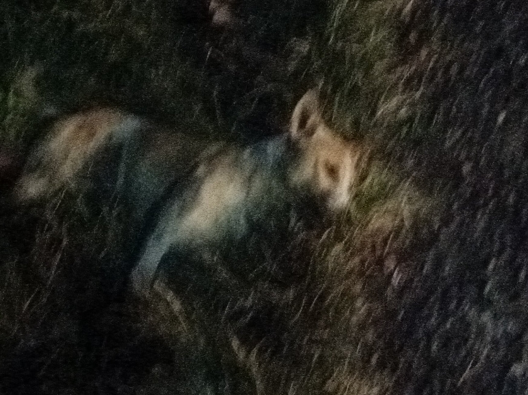 Senaru Village-Senaru必去景点