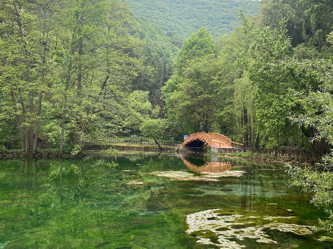 Holiday Bosnia景点图片