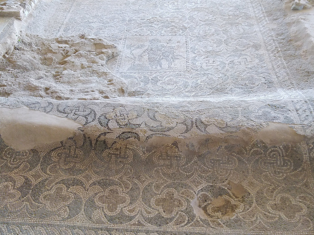 Parco Archeologico della Villa romana-Casignana必去景点