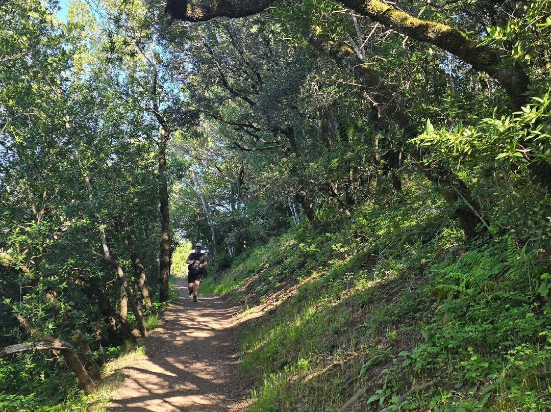 Mount Umunhum-圣何塞必去景点