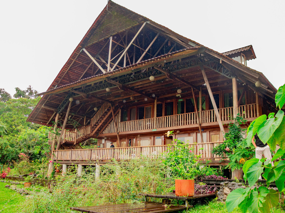 Heimatlos Amazon Lodge