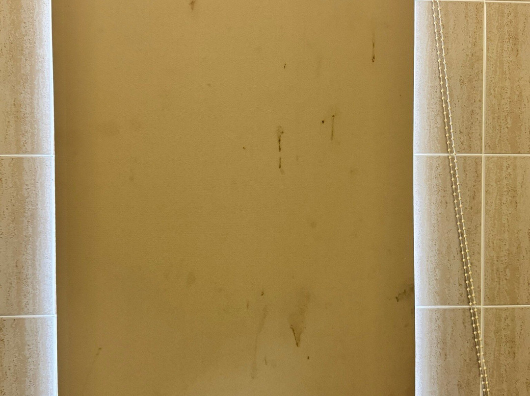 Grand Manor Motor Inn主图