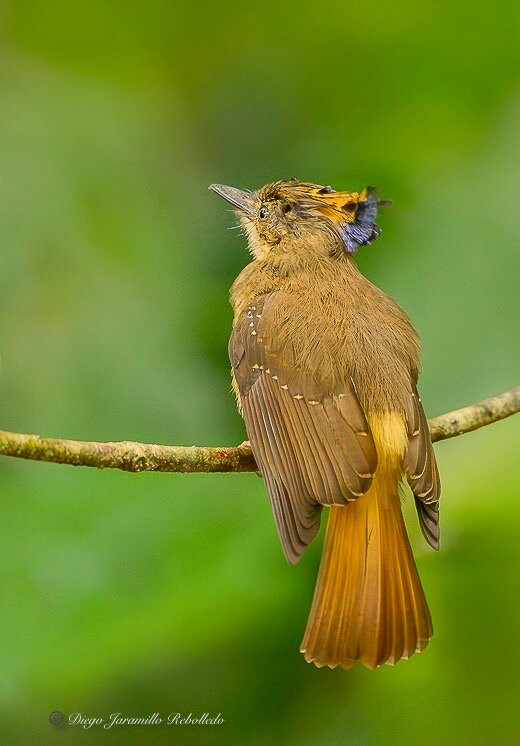 Geo Natura Tours-圣拉蒙必去景点
