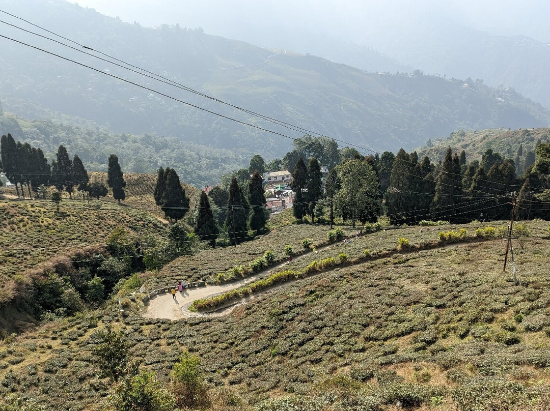 Happy Valley Tea Estate-大吉岭必去景点