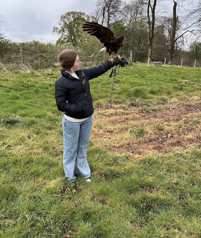 National Bird of Prey Centre-Blessington必去景点