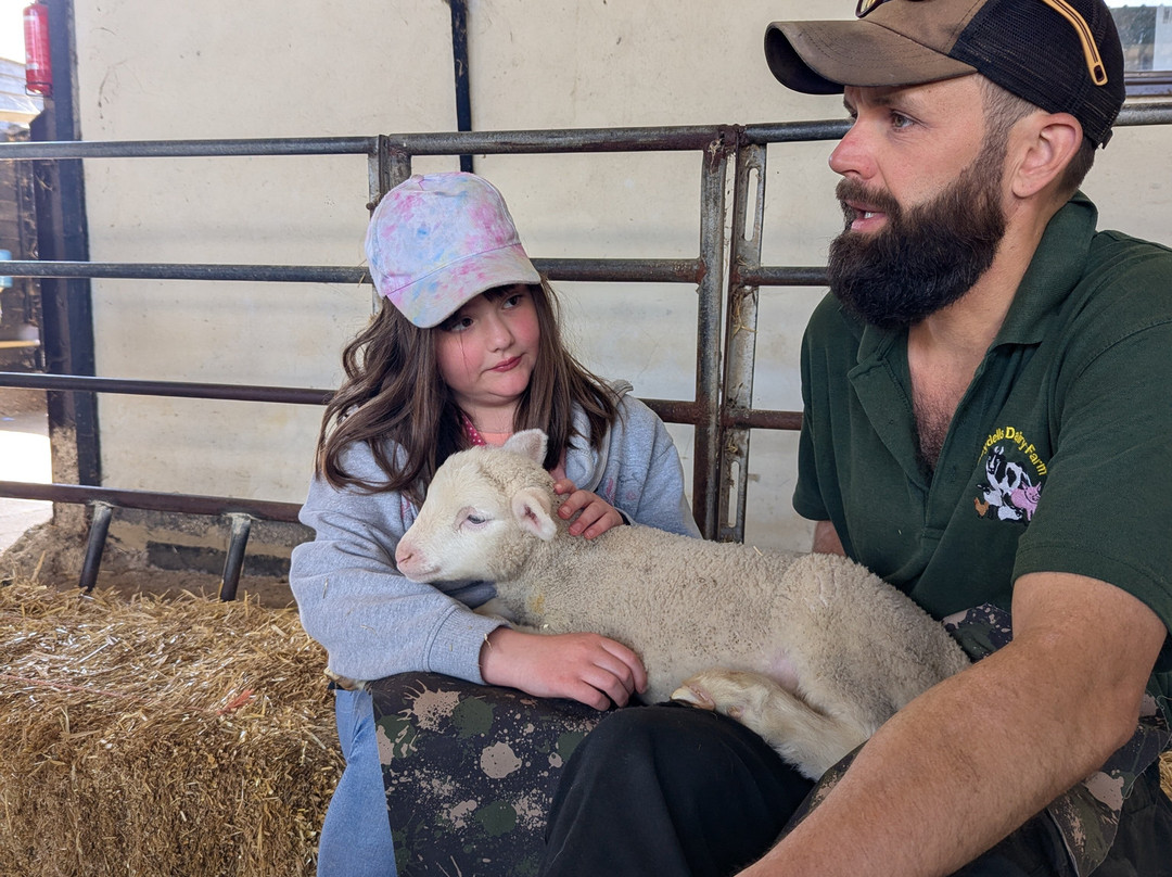 Boydells Dairy Farm-Wethersfield必去景点