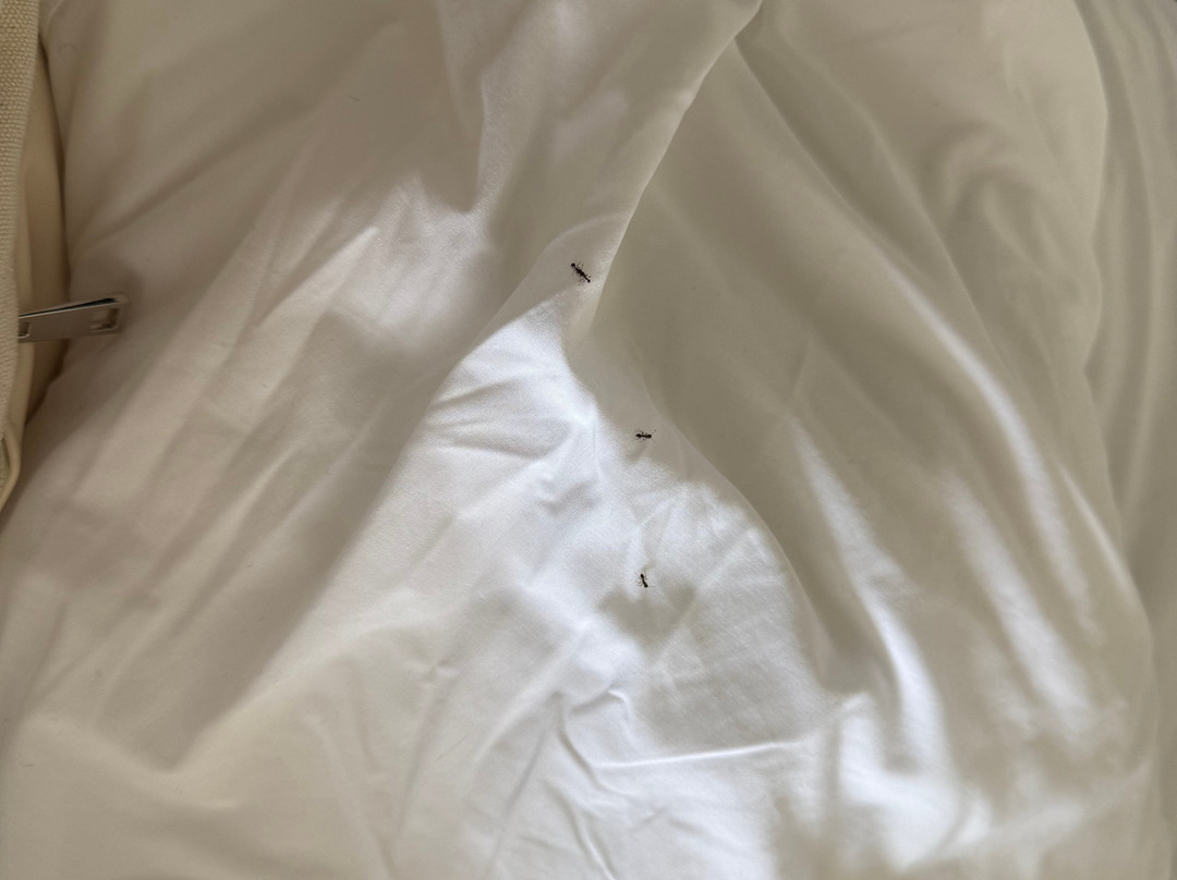 芝加哥欧克布鲁克假日酒店主图