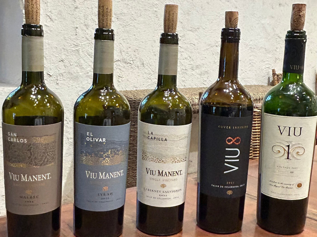 Viu Manent-圣克鲁斯必去景点