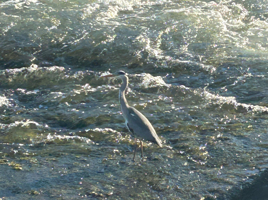 Dumfries Villa主图