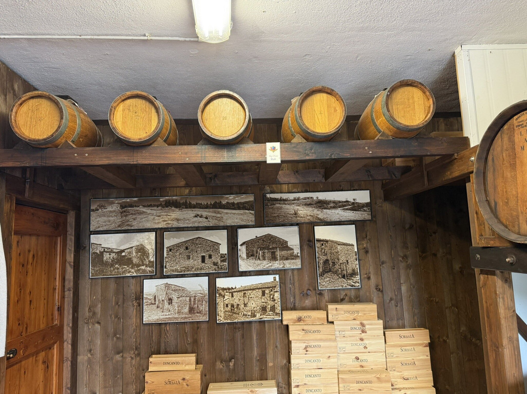 Tenuta Casanova景点图片