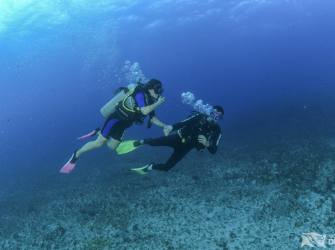Noronha Diver-费尔南多-迪诺罗尼亚群岛必去景点