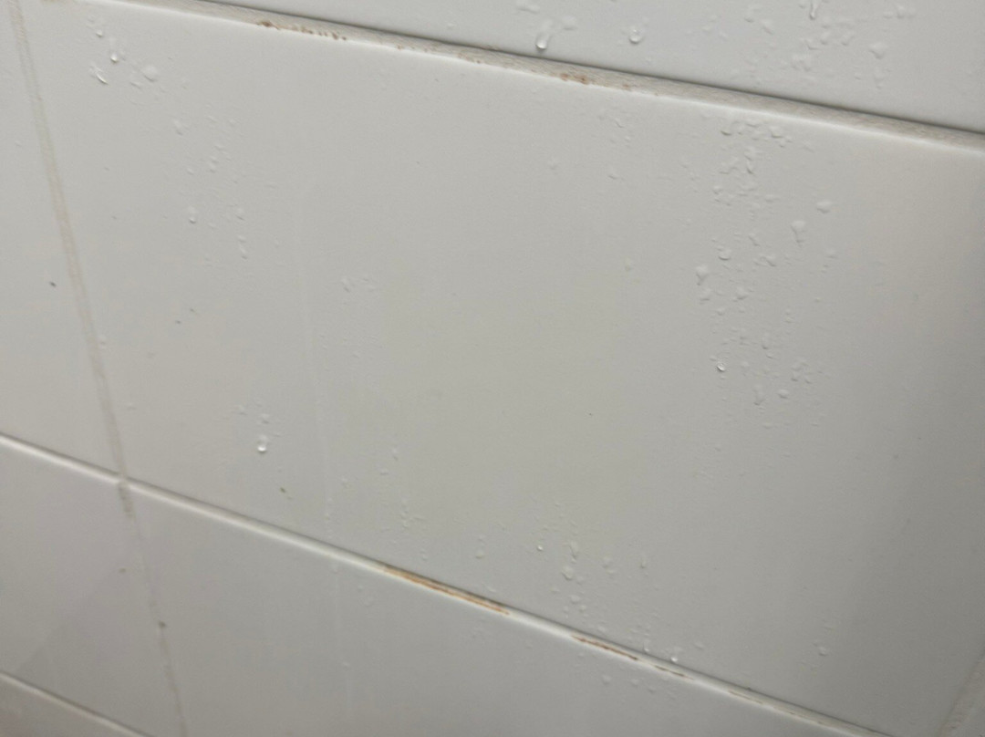 Gilgandra Motel主图