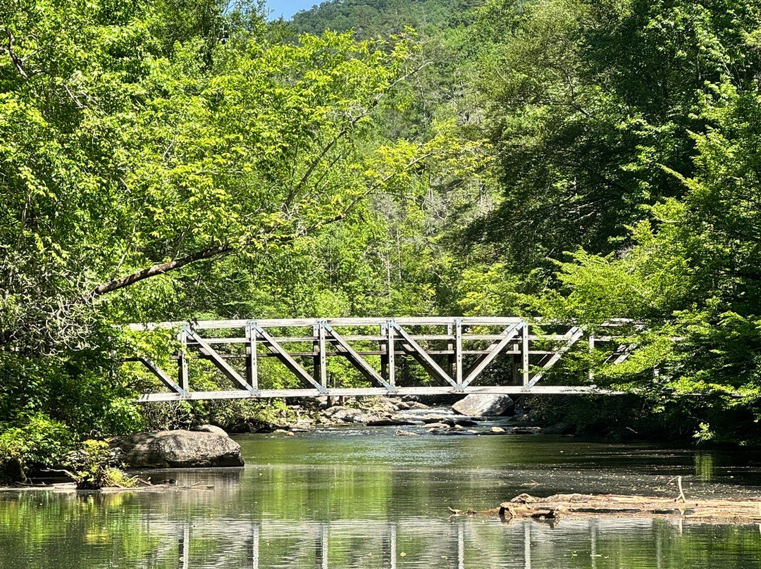 Southern Outlaw Adventures - Lake Jocassee Boat Tours景点图片