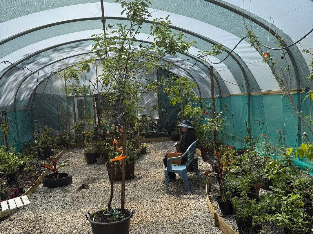 Guys Butterfly House-St Hilary必去景点