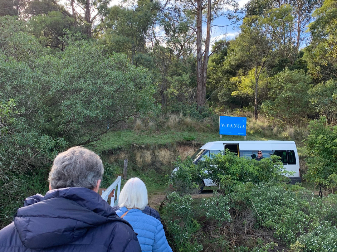 Wyanga Park Winery景点图片