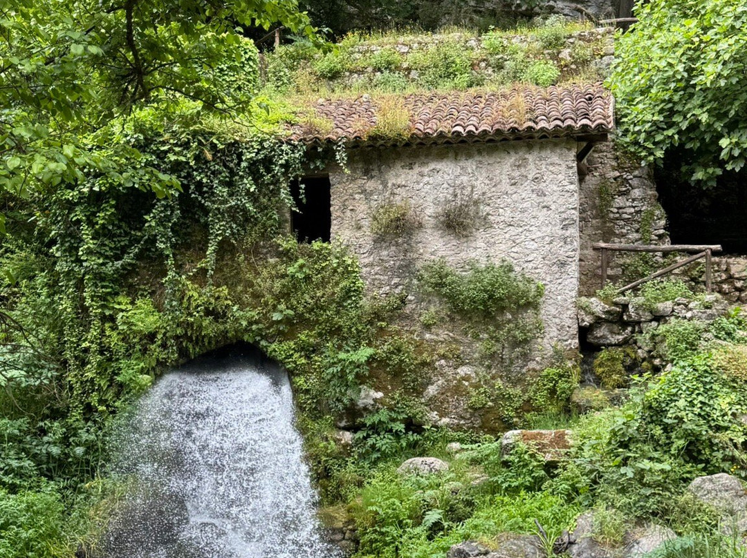 Oasi WWF Grotte del Bussento景点图片