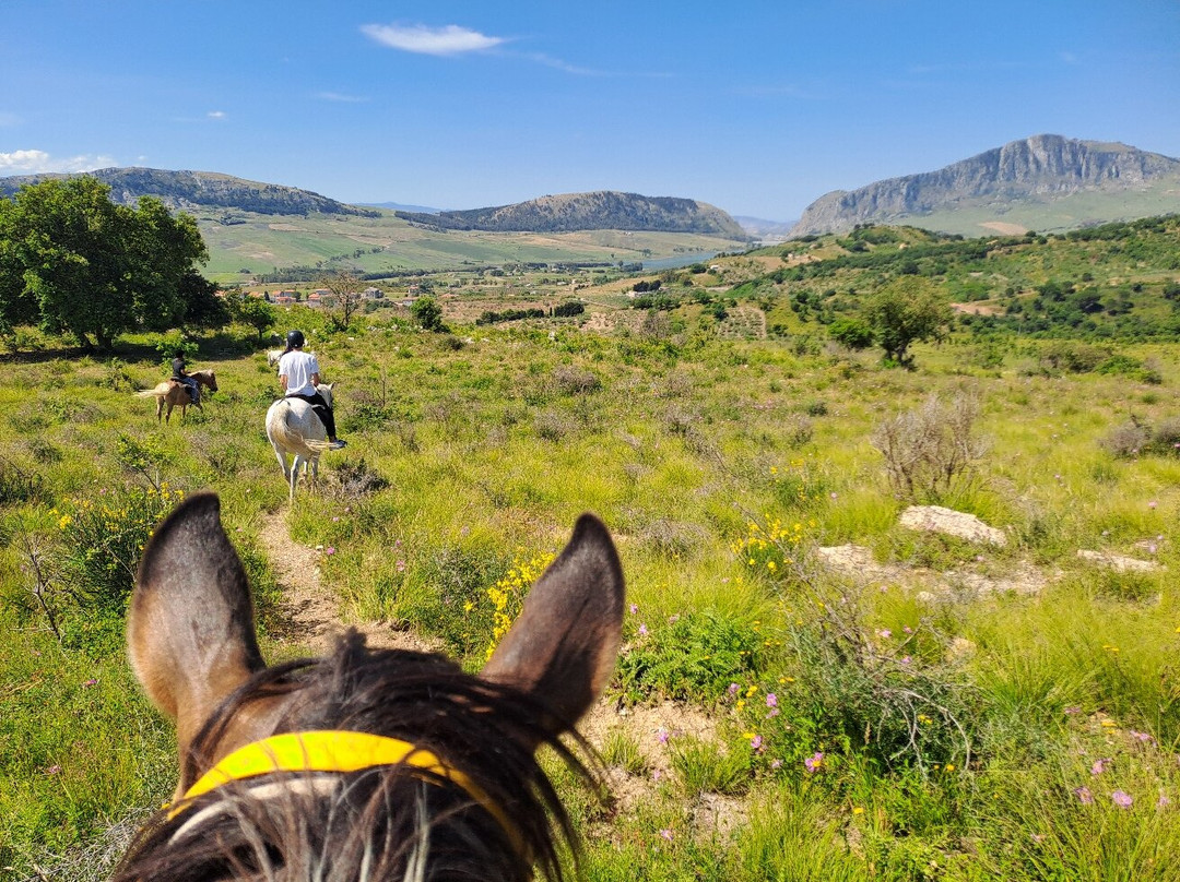 Horse Trekking Sicily景点图片
