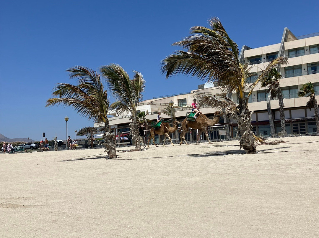 Playa Del Castillo景点图片
