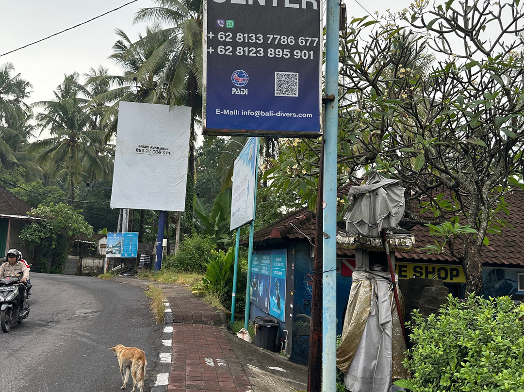 Bali-Club Dive Center景点图片