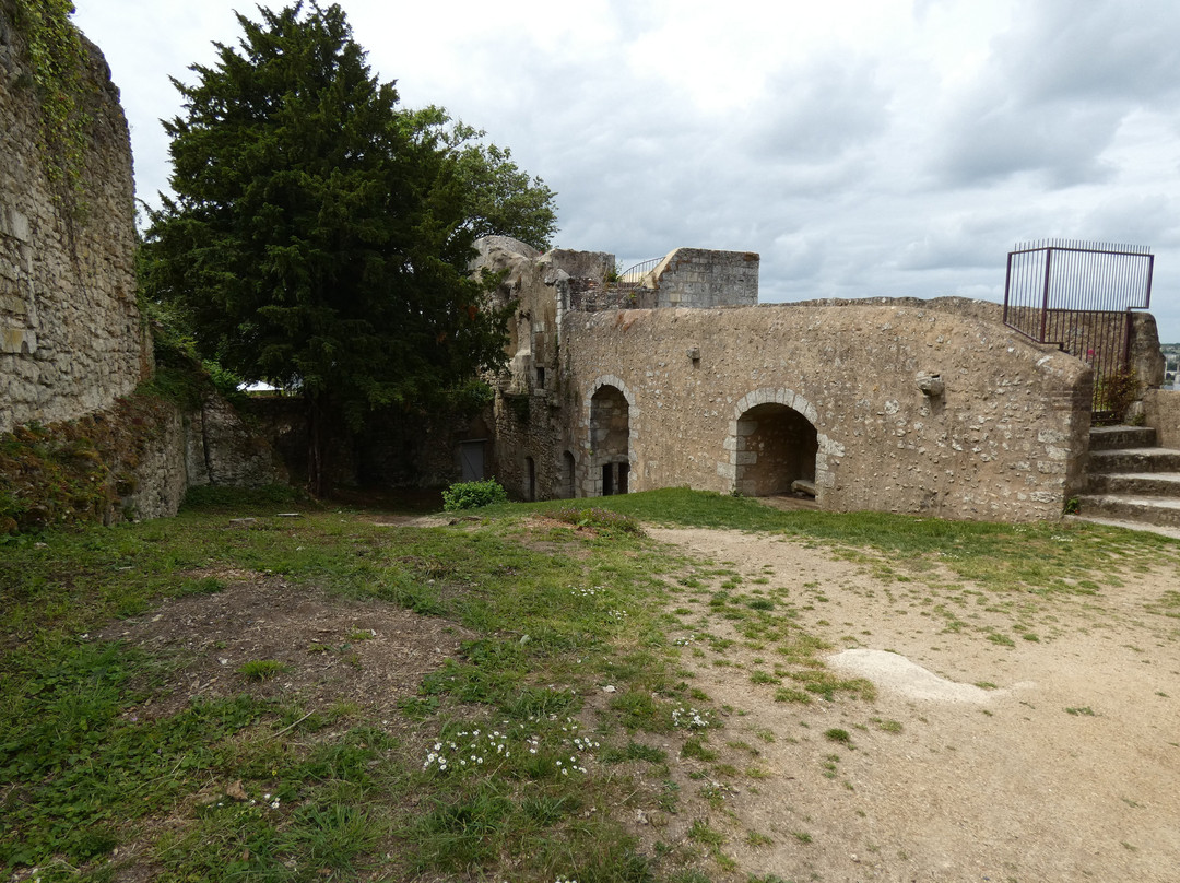 Château de Vendôme景点图片