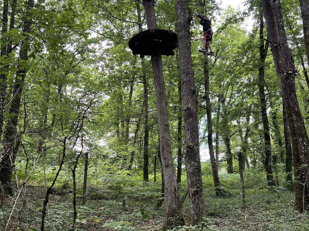 L'appel De La Forêt景点图片