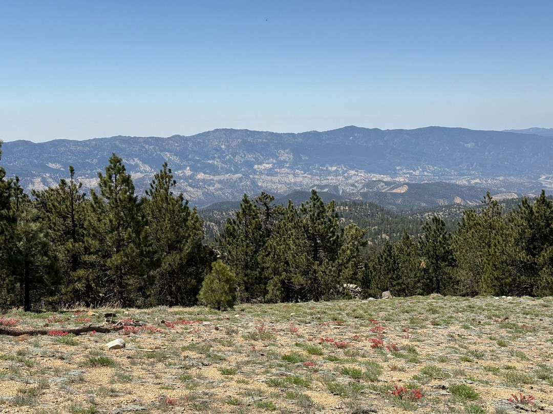 Mt. Pinos-Frazier Park必去景点