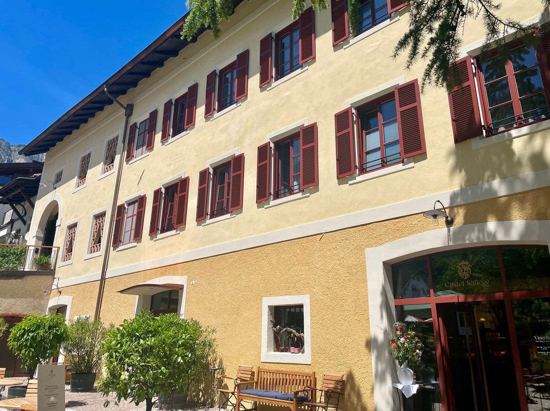 Weingut / Vinothek Castel Sallegg-Caldaro sulla Strada del Vino必去景点