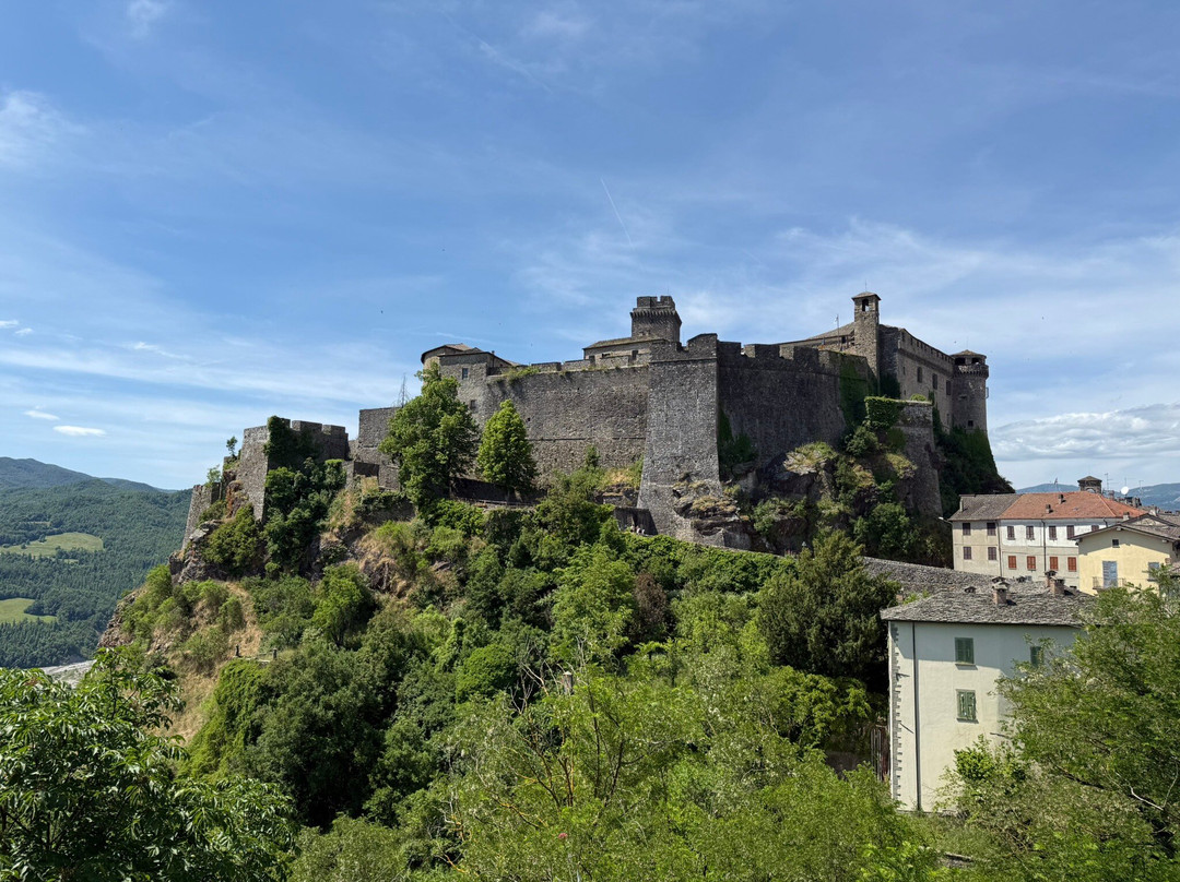 Castello di Bardi景点图片