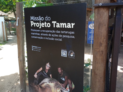 Mauro Tours-萨尔瓦多必去景点