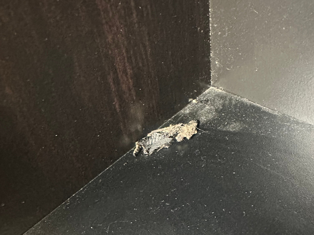 Baymont by Wyndham Cornelia主图