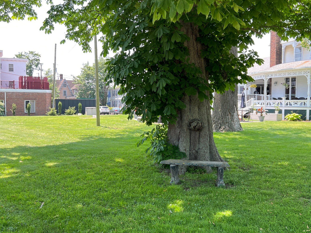 Bellevue Avenue-纽波特必去景点