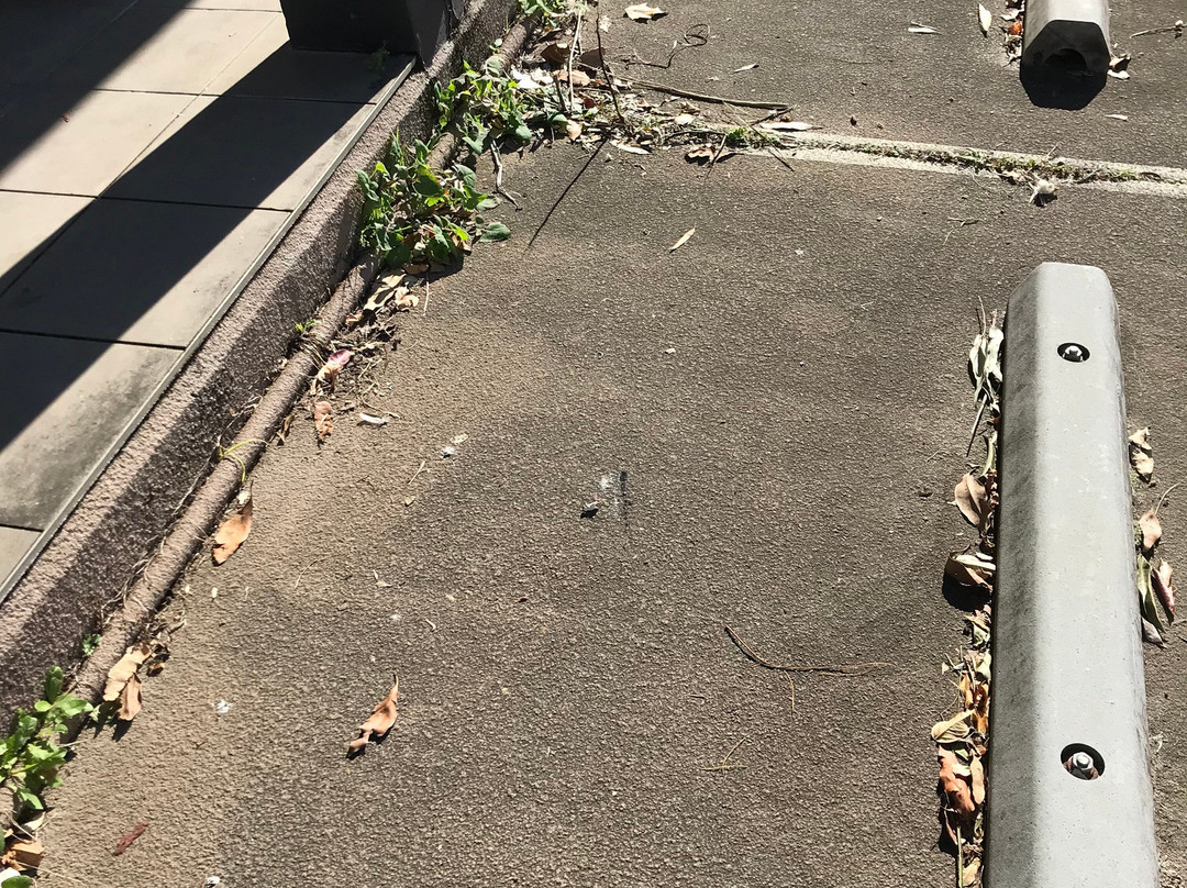 Parkhaven Resort主图