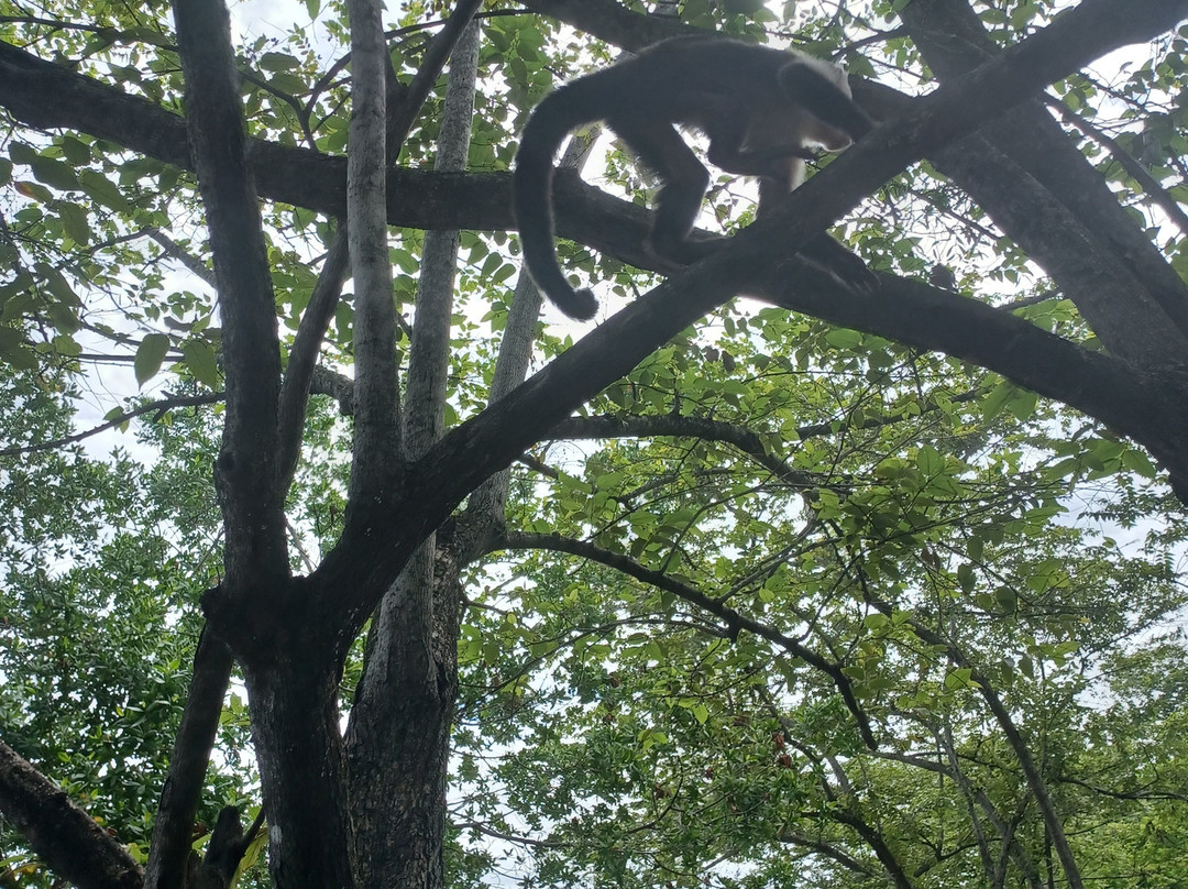 哥斯达黎加悦宜湾奢享酒店主图