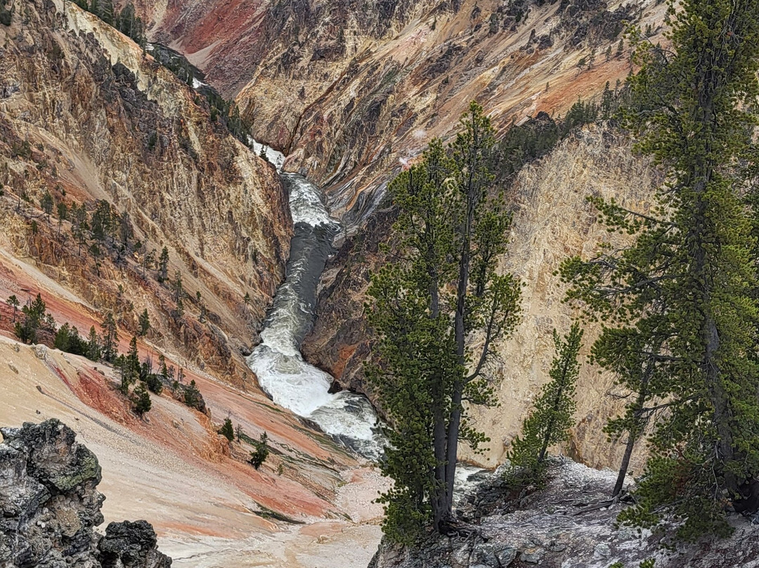 Yellowstone National Park景点图片