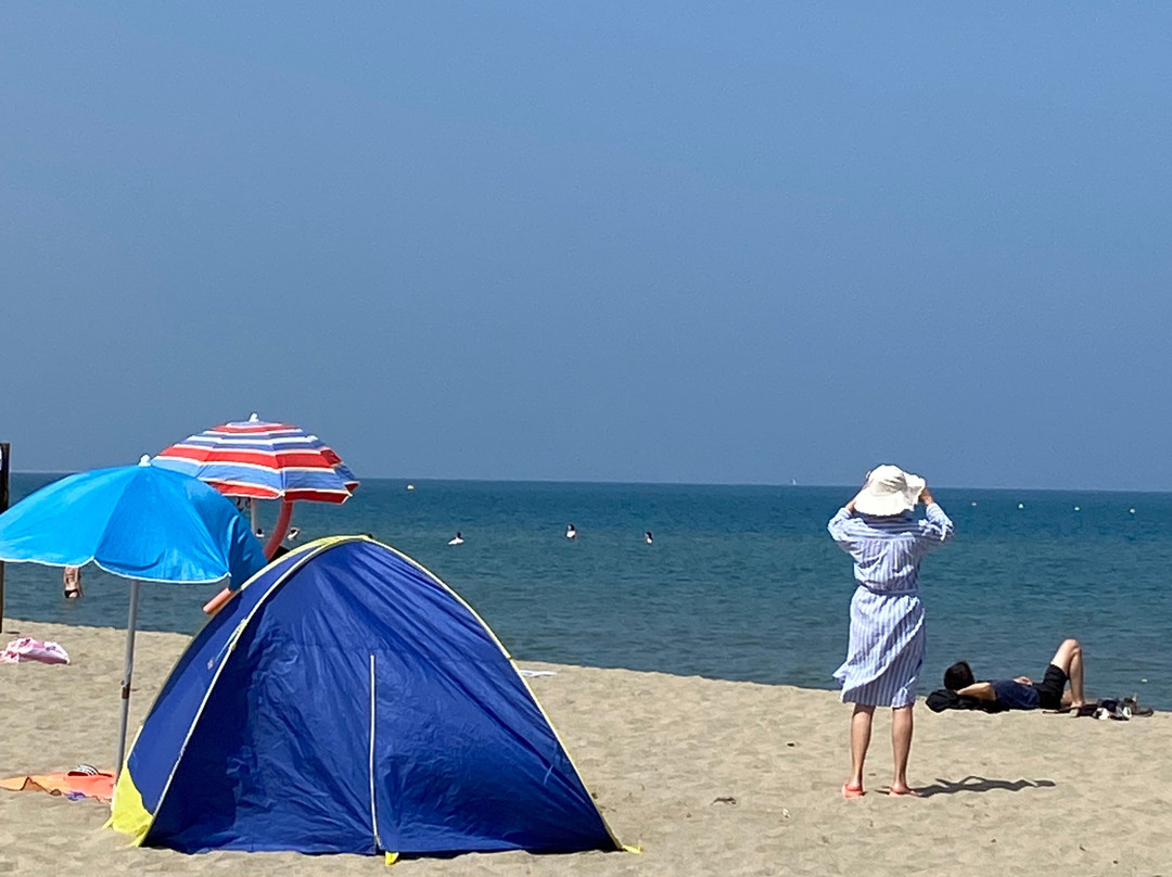 La Franqui Beach景点图片