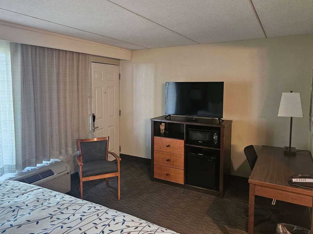 伯奇伦酒店住宿-Americinn By Wyndham Birch Run/frankenmuth