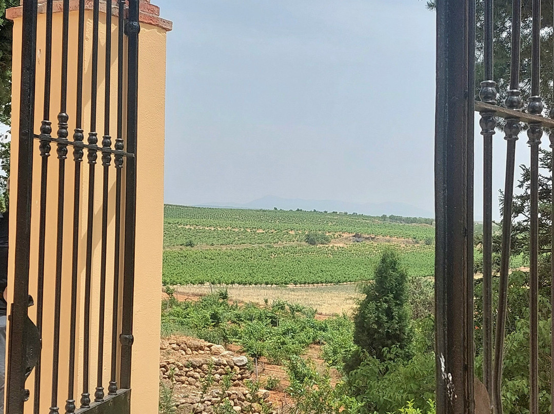 Bodega Vera de Estenas-Utiel必去景点