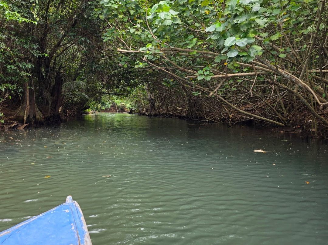 Indian River-多米尼克必去景点