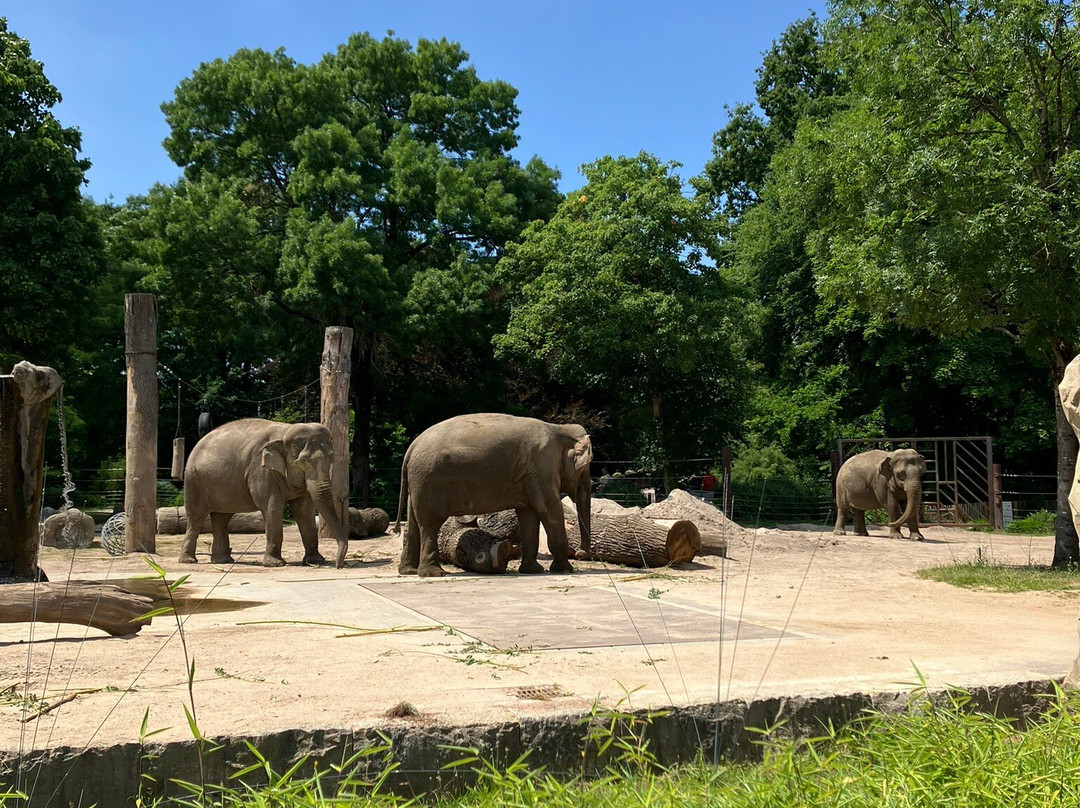 Zoo Karlsruhe-卡尔斯鲁厄必去景点