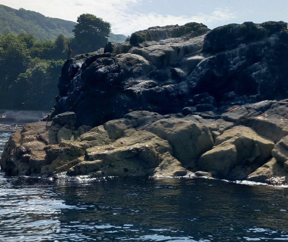 Carnlough Bay Boat Tours-Carnlough必去景点