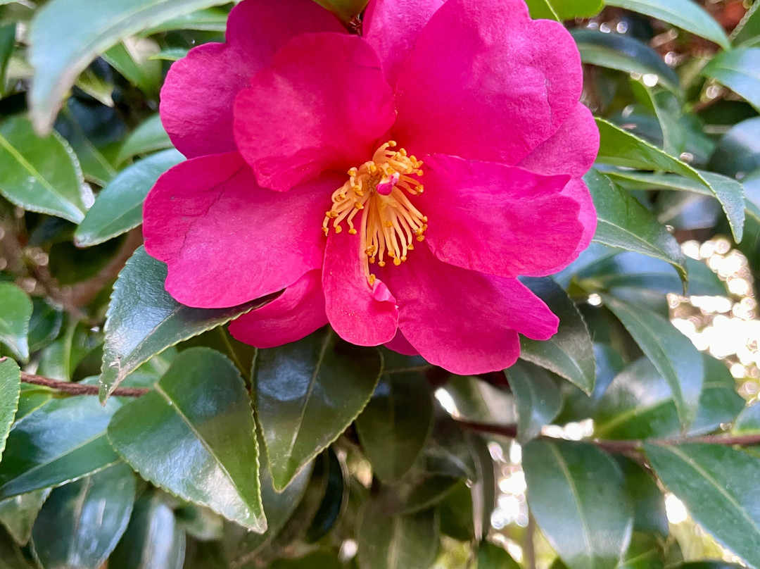 Nyerimilang Heritage Park-莱克斯恩特伦斯必去景点