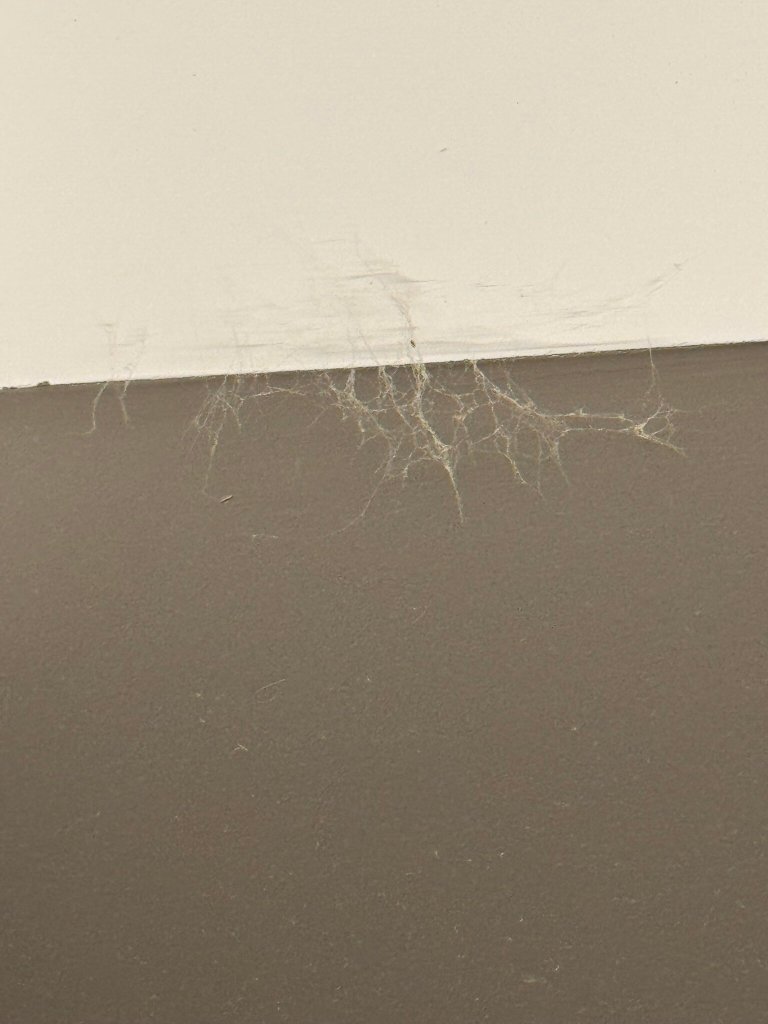 Moxy La Ciotat-官方