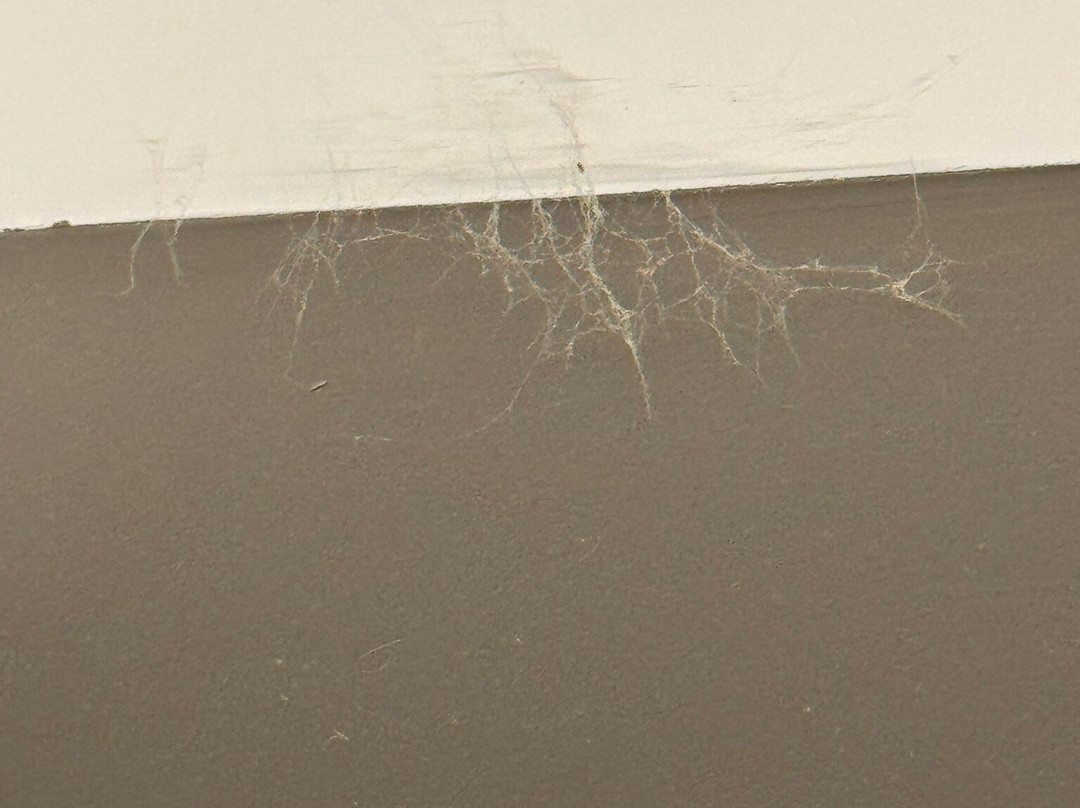 Moxy La Ciotat主图