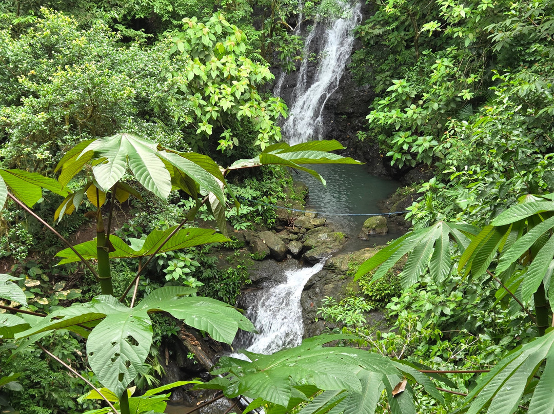 Pacheco Tours-德雷克湾必去景点