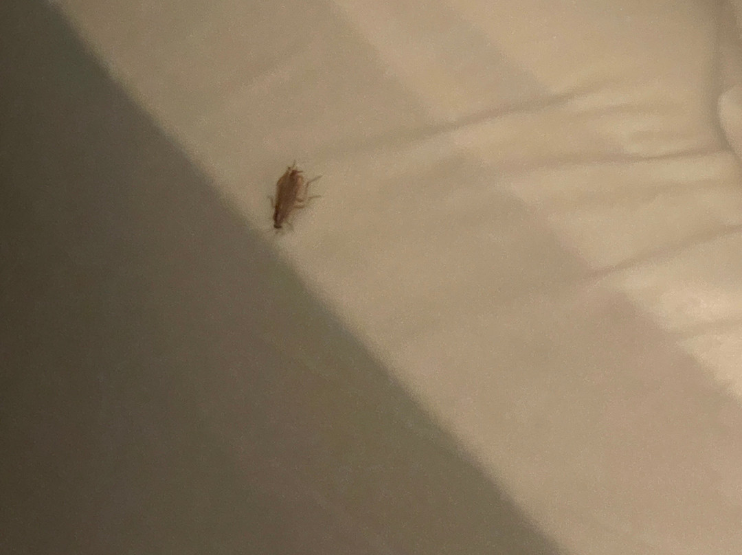 Ayres Hotel Costa Mesa - Newport Beach主图